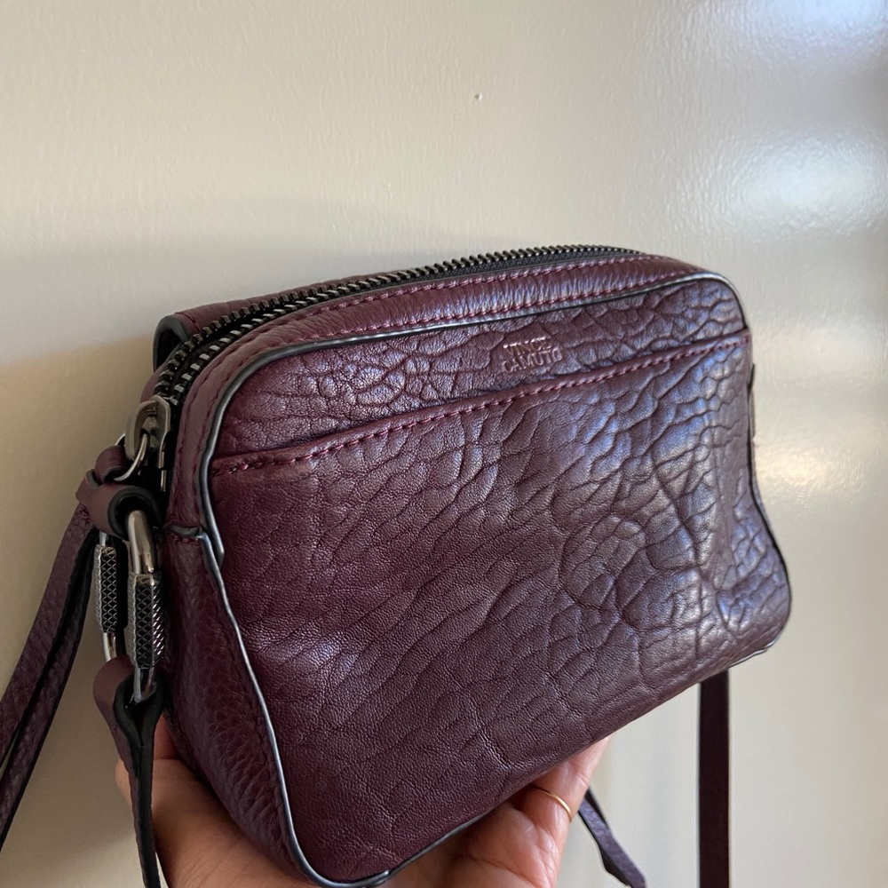 Vince Camuto eggplant purse